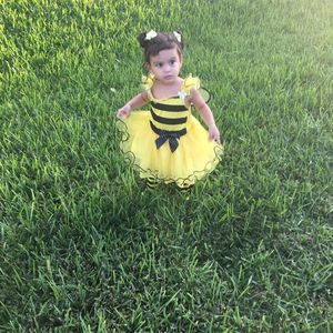 Meet your Posher, Alexa